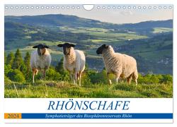 Rhönschafe – Symphatieträger des Biosphärenreservats Rhön (Wandkalender 2024 DIN A4 quer), CALVENDO Monatskalender von Hempe,  Arnulf Müller,  Manfred