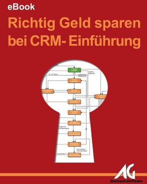 Richtig Geld sparen bei der CRM-Einführung von Grutzeck,  Markus