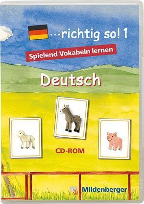 … richtig so!. Lernspiele für den Deutsch-Förderunterricht / … richtig so! 1 – Lernsoftware, Einzellizenz von Kresse,  Tina, McCafferty,  Susanne