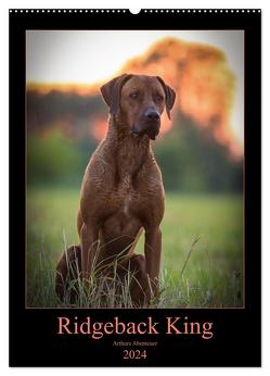 Ridgeback King – Arthurs Abenteuer (Wandkalender 2024 DIN A2 hoch), CALVENDO Monatskalender von Sölter,  Julia