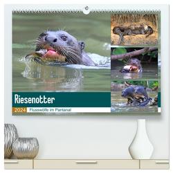 Riesenotter – Flusswölfe im Pantanal (hochwertiger Premium Wandkalender 2024 DIN A2 quer), Kunstdruck in Hochglanz von und Yvonne Herzog,  Michael