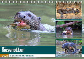 Riesenotter – Flusswölfe im Pantanal (Tischkalender 2021 DIN A5 quer) von und Yvonne Herzog,  Michael