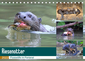 Riesenotter – Flusswölfe im Pantanal (Tischkalender 2022 DIN A5 quer) von und Yvonne Herzog,  Michael