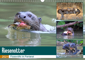 Riesenotter – Flusswölfe im Pantanal (Wandkalender 2021 DIN A3 quer) von und Yvonne Herzog,  Michael