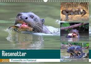 Riesenotter – Flusswölfe im Pantanal (Wandkalender 2022 DIN A3 quer) von und Yvonne Herzog,  Michael
