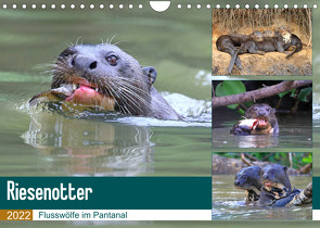 Riesenotter – Flusswölfe im Pantanal (Wandkalender 2022 DIN A4 quer) von und Yvonne Herzog,  Michael
