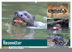 Riesenotter – Flusswölfe im Pantanal (Wandkalender 2024 DIN A2 quer), CALVENDO Monatskalender von und Yvonne Herzog,  Michael