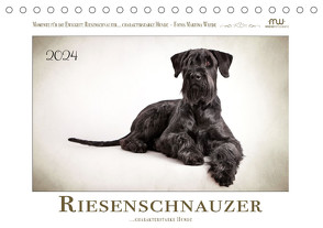 Riesenschnauzer… charakterstarke Hunde (Tischkalender 2024 DIN A5 quer) von Wrede - Wredefotografie,  Martina