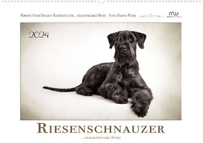 Riesenschnauzer… charakterstarke Hunde (Wandkalender 2024 DIN A2 quer), CALVENDO Monatskalender von Wrede - Wredefotografie,  Martina