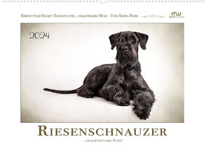 Riesenschnauzer… charakterstarke Hunde (Wandkalender 2024 DIN A2 quer) von Wrede - Wredefotografie,  Martina