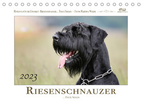 Riesenschnauzer… Treue Seelen (Tischkalender 2023 DIN A5 quer) von Wrede - Wredefotografie,  Martina