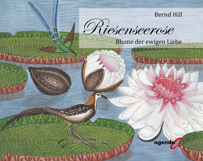 Riesenseerose von Hill,  Bernd