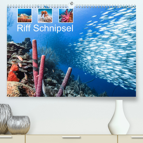 Riff Schnipsel (Premium, hochwertiger DIN A2 Wandkalender 2022, Kunstdruck in Hochglanz) von & Tilo Kühnast - NaturePicsFilms,  Yvonne