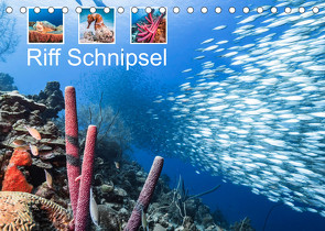 Riff Schnipsel (Tischkalender 2022 DIN A5 quer) von & Tilo Kühnast - NaturePicsFilms,  Yvonne