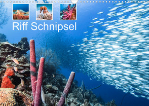 Riff Schnipsel (Wandkalender 2022 DIN A3 quer) von & Tilo Kühnast - NaturePicsFilms,  Yvonne