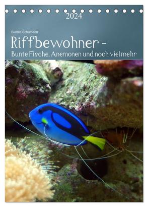 Riffbewohner – Bunte Fische, Anemonen und noch viel mehr (Tischkalender 2024 DIN A5 hoch), CALVENDO Monatskalender von Schumann,  Bianca