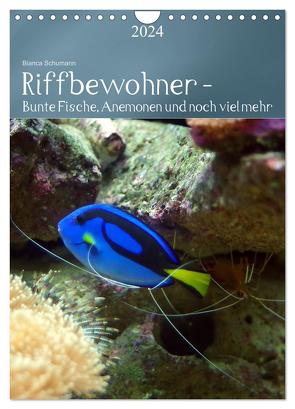 Riffbewohner – Bunte Fische, Anemonen und noch viel mehr (Wandkalender 2024 DIN A4 hoch), CALVENDO Monatskalender von Schumann,  Bianca