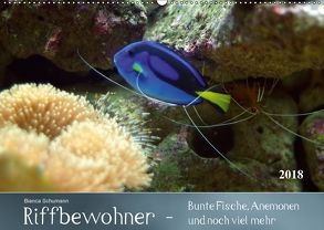 Riffbewohner – Bunte Fische, Anemonen und noch viel mehrAT-Version (Wandkalender 2018 DIN A2 quer) von Schumann,  Bianca