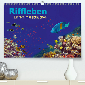 Riffleben – Einfach mal abtauchen (Premium, hochwertiger DIN A2 Wandkalender 2021, Kunstdruck in Hochglanz) von Melz,  Tina