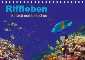 Riffleben – Einfach mal abtauchen (Tischkalender 2019 DIN A5 quer) von Melz,  Tina