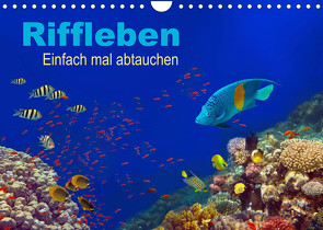 Riffleben – Einfach mal abtauchen (Wandkalender 2023 DIN A4 quer) von Melz,  Tina