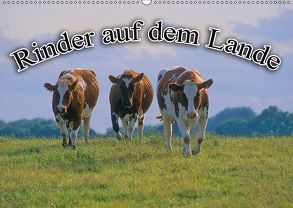 Rinder auf dem Lande (Wandkalender 2018 DIN A2 quer) von Geduldig,  Bildagentur