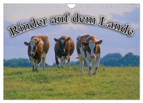 Rinder auf dem Lande (Wandkalender 2024 DIN A4 quer), CALVENDO Monatskalender von Geduldig,  Bildagentur