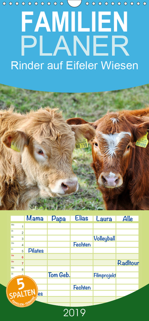 Rinder auf Eifeler Wiesen – Familienplaner hoch (Wandkalender 2019 , 21 cm x 45 cm, hoch) von Glineur,  Jean-Louis