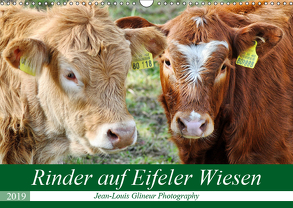 Rinder auf Eifeler Wiesen (Wandkalender 2019 DIN A3 quer) von Glineur,  Jean-Louis