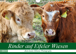 Rinder auf Eifeler Wiesen (Wandkalender 2019 DIN A4 quer) von Glineur,  Jean-Louis