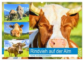 Rindvieh auf der Alm. Kühe im Bergsommer (Wandkalender 2024 DIN A2 quer), CALVENDO Monatskalender von Hurley,  Rose