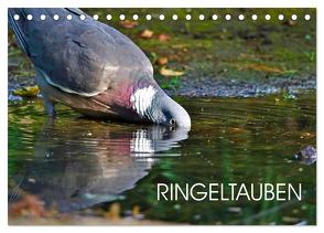 Ringeltauben (Tischkalender 2024 DIN A5 quer), CALVENDO Monatskalender von Jäger,  Anette