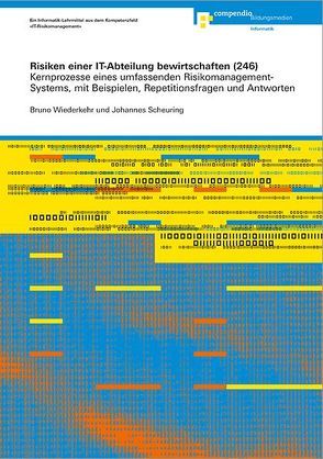 Risiken einer IT-Abteilung bewirtschaften (246) von Scheuring,  Johannes, Wiederkehr,  Bruno