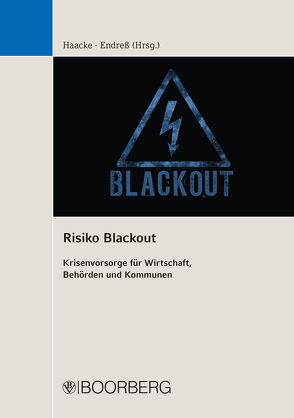 Risiko Blackout von Endreß,  Christian, Haacke,  Florian