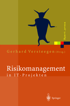 Risikomanagement in IT-Projekten von Dietrich,  M., Reckert,  H., Salomon,  K., Versteegen,  G., Versteegen,  Gerhard