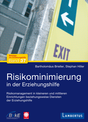 Risikominimierung in der Erziehungshilfe von Brieller,  Bartholomäus, Hiller,  Stephan