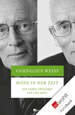 Risse in der Zeit von Weiss,  Cornelius