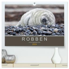 Robben auf der Helgoländer Düne (hochwertiger Premium Wandkalender 2024 DIN A2 quer), Kunstdruck in Hochglanz von Spiegler,  Heidi