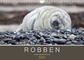 Robben auf der Helgoländer Düne (Wandkalender 2023 DIN A4 quer) von Spiegler,  Heidi