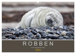 Robben auf der Helgoländer Düne (Wandkalender 2024 DIN A2 quer), CALVENDO Monatskalender von Spiegler,  Heidi