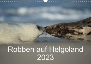 Robben auf Helgoland 2023CH-Version (Wandkalender 2023 DIN A3 quer) von Leimer,  Stefan