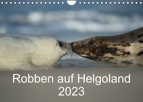 Robben auf Helgoland 2023CH-Version (Wandkalender 2023 DIN A4 quer) von Leimer,  Stefan