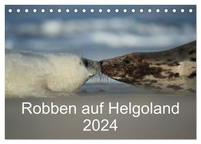 Robben auf Helgoland 2024 (Tischkalender 2024 DIN A5 quer), CALVENDO Monatskalender von Leimer,  Stefan