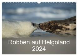 Robben auf Helgoland 2024 (Wandkalender 2024 DIN A3 quer), CALVENDO Monatskalender von Leimer,  Stefan