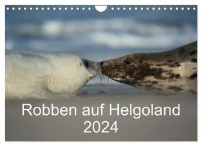 Robben auf Helgoland 2024 (Wandkalender 2024 DIN A4 quer), CALVENDO Monatskalender von Leimer,  Stefan