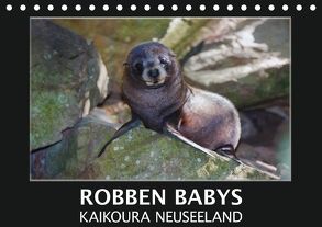 Robben Babys – Kaikoura Neuseeland (Tischkalender 2018 DIN A5 quer) von Bort,  Gundis