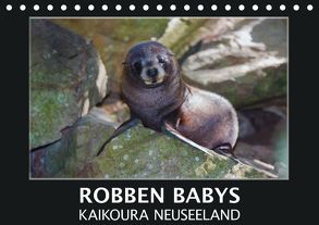 Robben Babys – Kaikoura Neuseeland (Tischkalender 2019 DIN A5 quer) von Bort,  Gundis