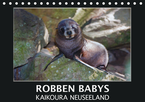 Robben Babys – Kaikoura Neuseeland (Tischkalender 2021 DIN A5 quer) von Bort,  Gundis