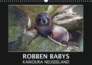 Robben Babys – Kaikoura Neuseeland (Wandkalender 2018 DIN A3 quer) von Bort,  Gundis