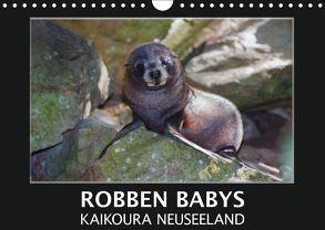 Robben Babys – Kaikoura Neuseeland (Wandkalender 2018 DIN A4 quer) von Bort,  Gundis
